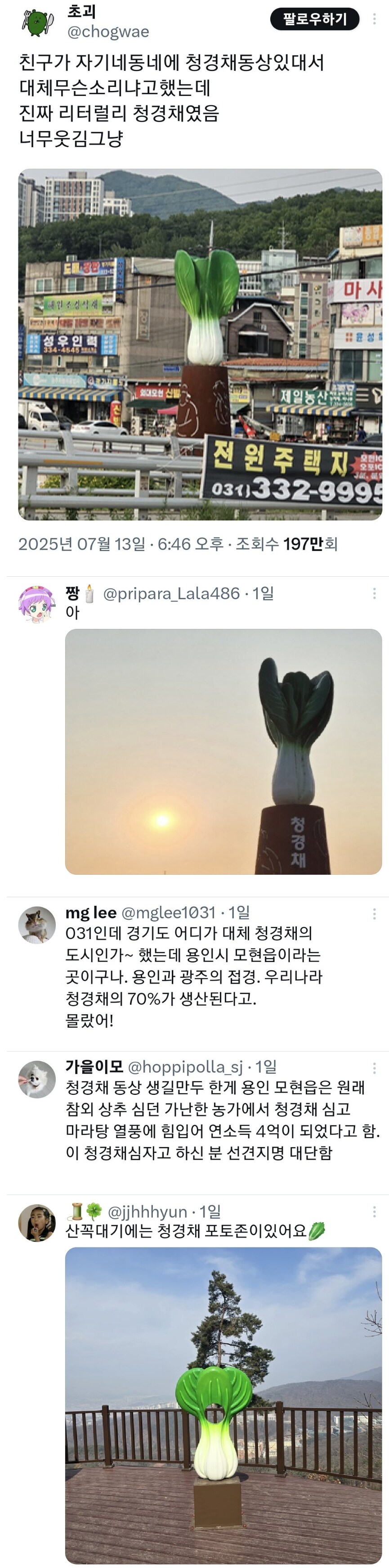 친구가 자기 동네에 청경채 동상 있대서 무슨 소리냐고 했는데_1.png