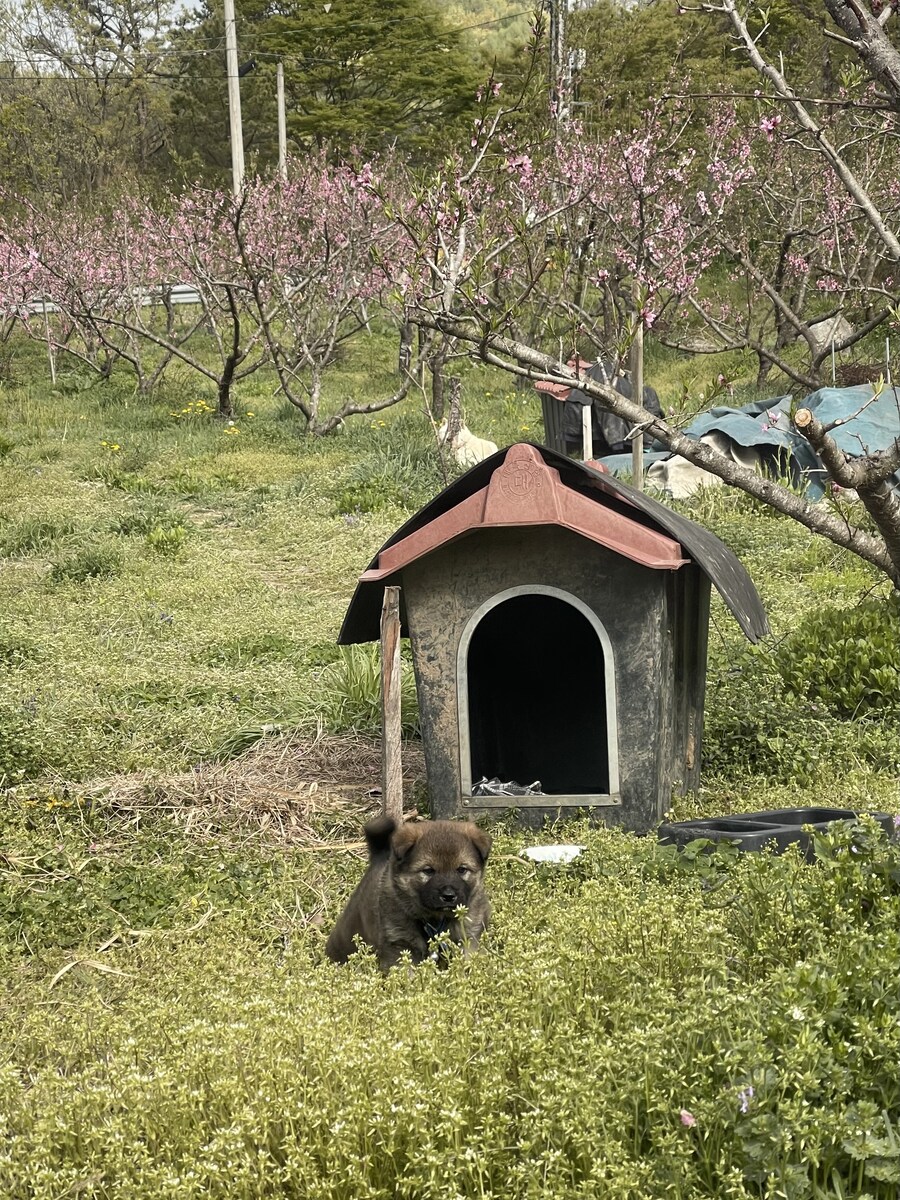 시골 아버지 걱정되서 전화 해 봤는데.._1.jpg