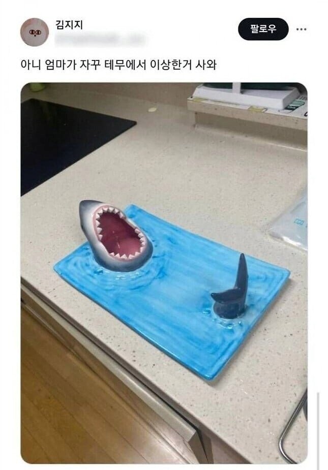 테무에서 자꾸 이상한걸 사오는 엄마.jpg_1.png