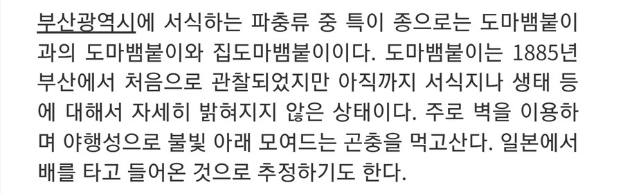 의외로 부산에서 찾을 수 있는 외래종_4.jpg