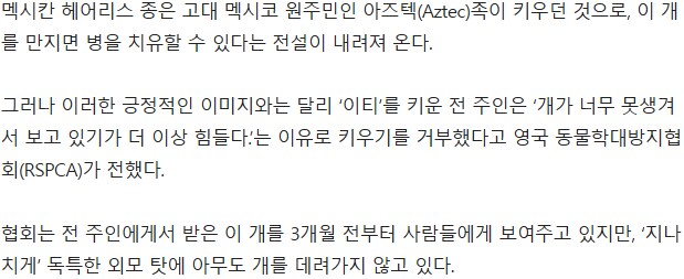 못 생겨서 왕따 당한 개_2.png