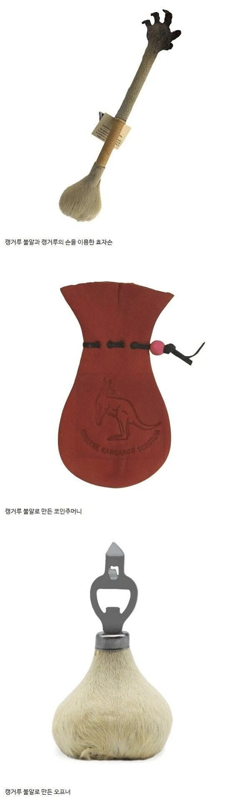 캥거루가 인간을 싫어할만한 합당한 이유_1.jpg