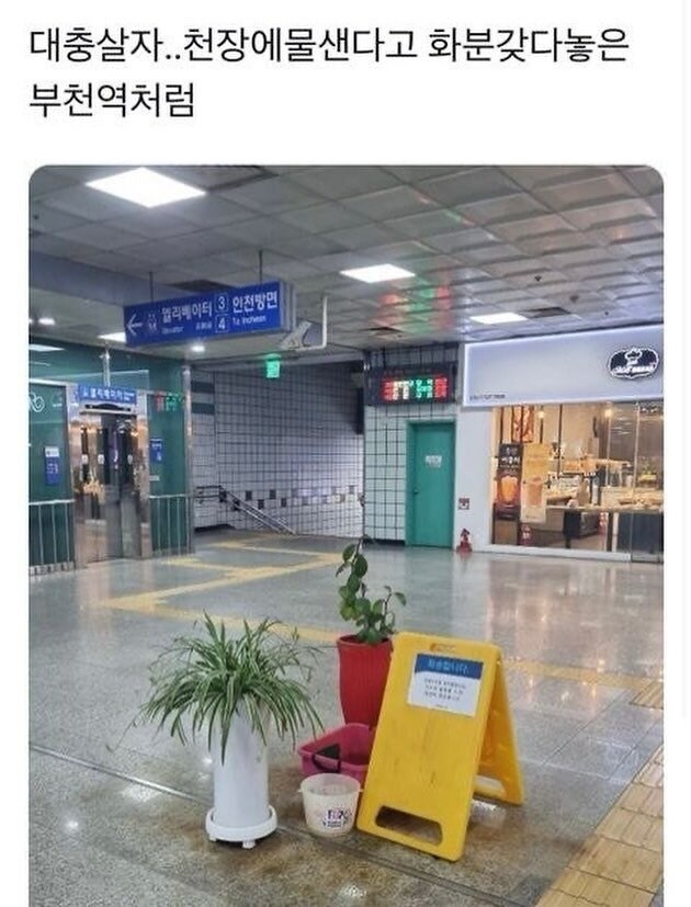 대충 살자.jpg_1.jpg