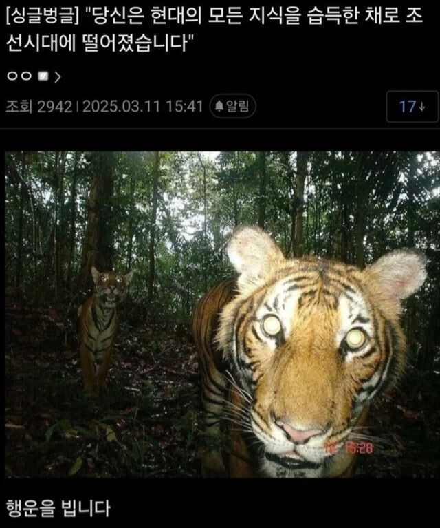 당신은 조선시대로 갔습니다_1.png