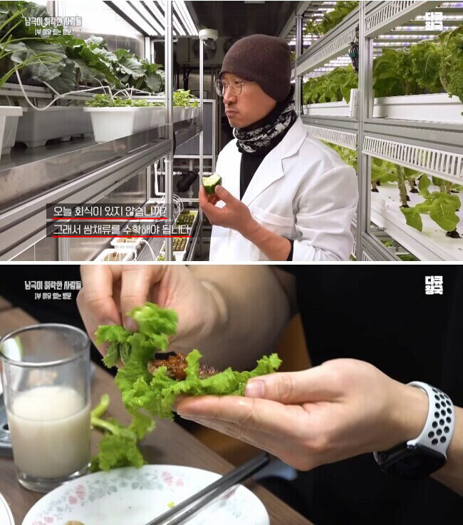 남극에서 온실을 운영하는 이유.jpg_2.jpg