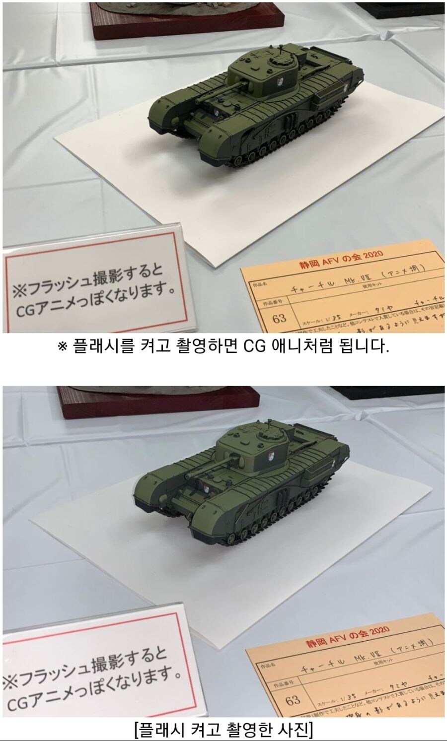 의외로 플래시를 터뜨리고 찍어달라며 권하는 예술작품_1.jpg