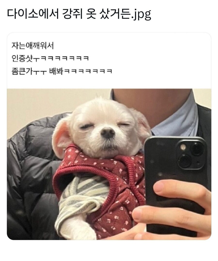 다이소에서 강쥐 옷 샀거든.jpg_1.jpg
