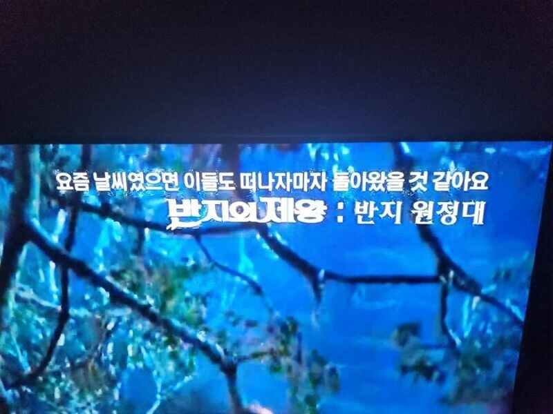 갈수록 드립만 늘어 나는 OCN jpg._1.jpg