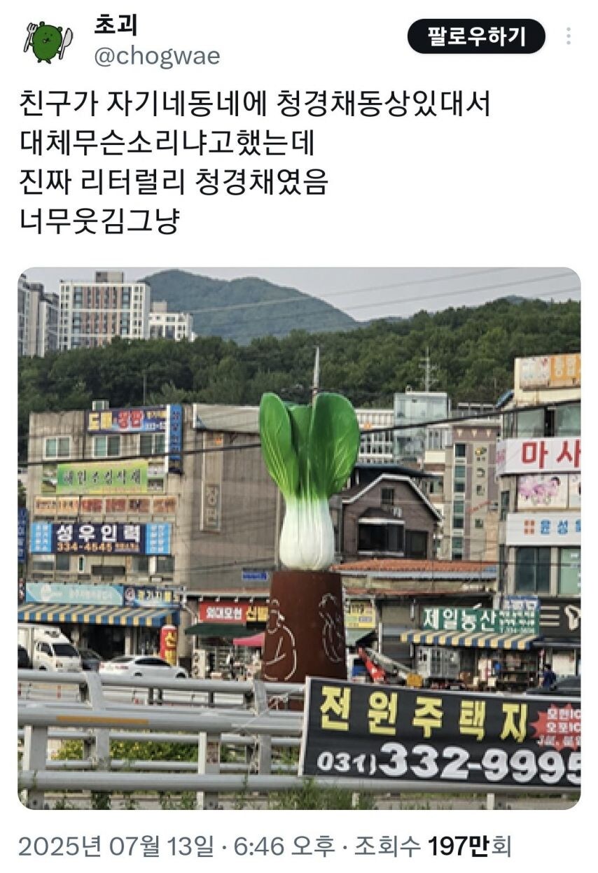 친구가 자기 동네에 청경채 동상 있대서 무슨 소리냐고 했는데_1.jpg