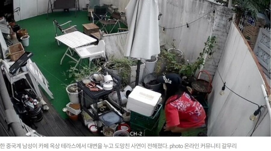 흡연충과 같은 매커니즘을 가지고있는 중국인_1.jpg