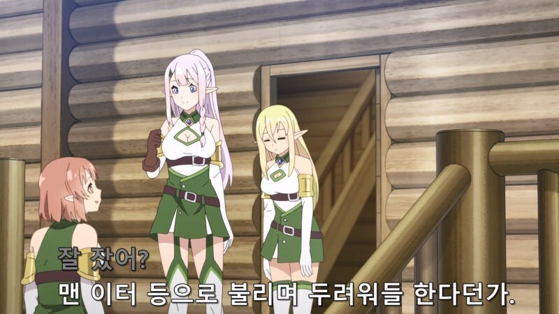 어느 이세계 판타지에서 하이 엘프가 받는 취급_3.jpg