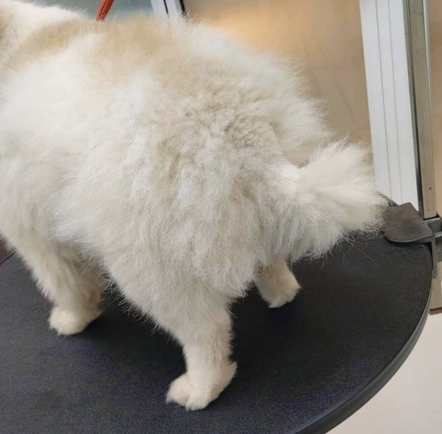 미용 전후 차이_1.jpg