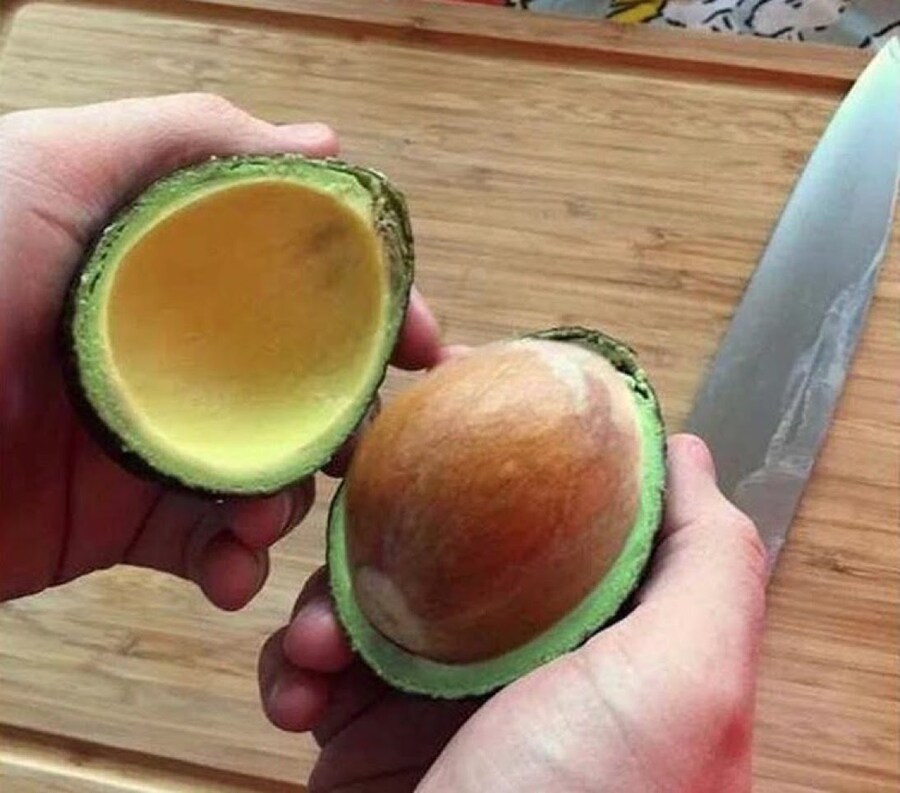 세상이 미워지는 아보카도 함유량_1.jpg