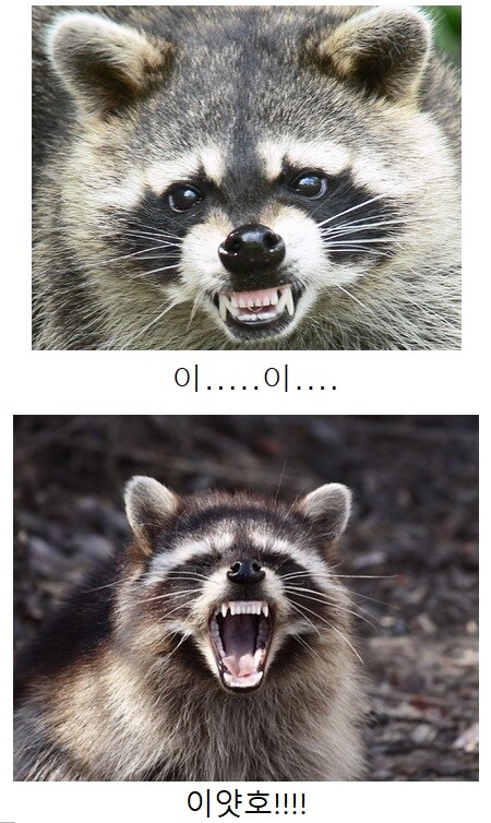 국중박: 왜 자꾸 장사가 잘 되는데!!!.jpg_2.png
