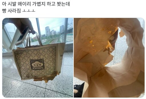 성심당을 다녀온 그의 손이 가벼운이유_1.png