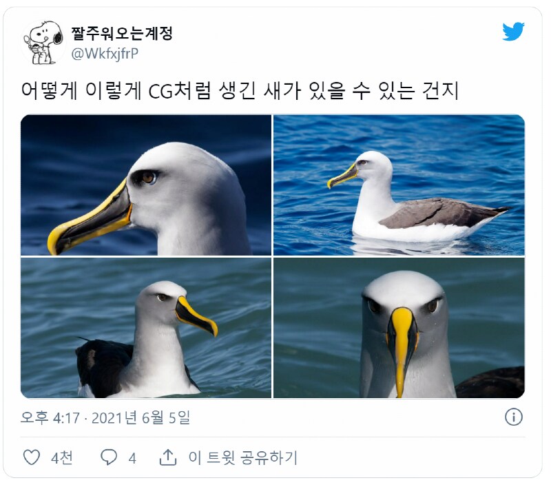 2000년대 초반 CG같은 새_1.png
