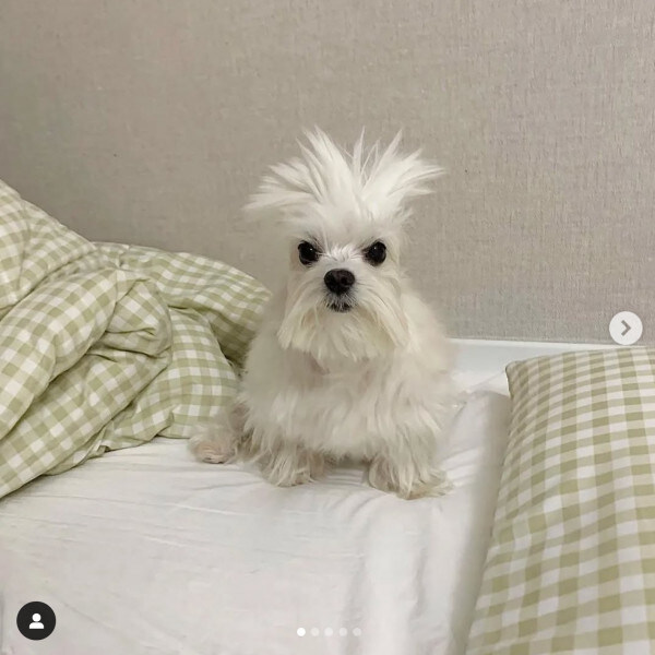 옛날 옛적에~_1.jpg