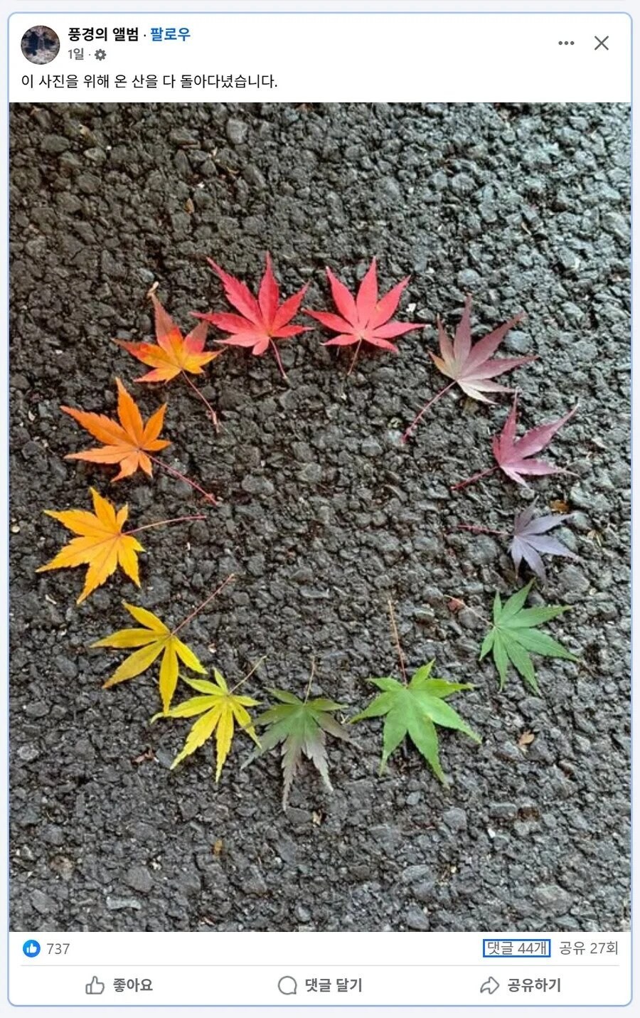 사진 한 장을 위해 온 산을 다 돌아다닌 사람.JPG_1.jpg