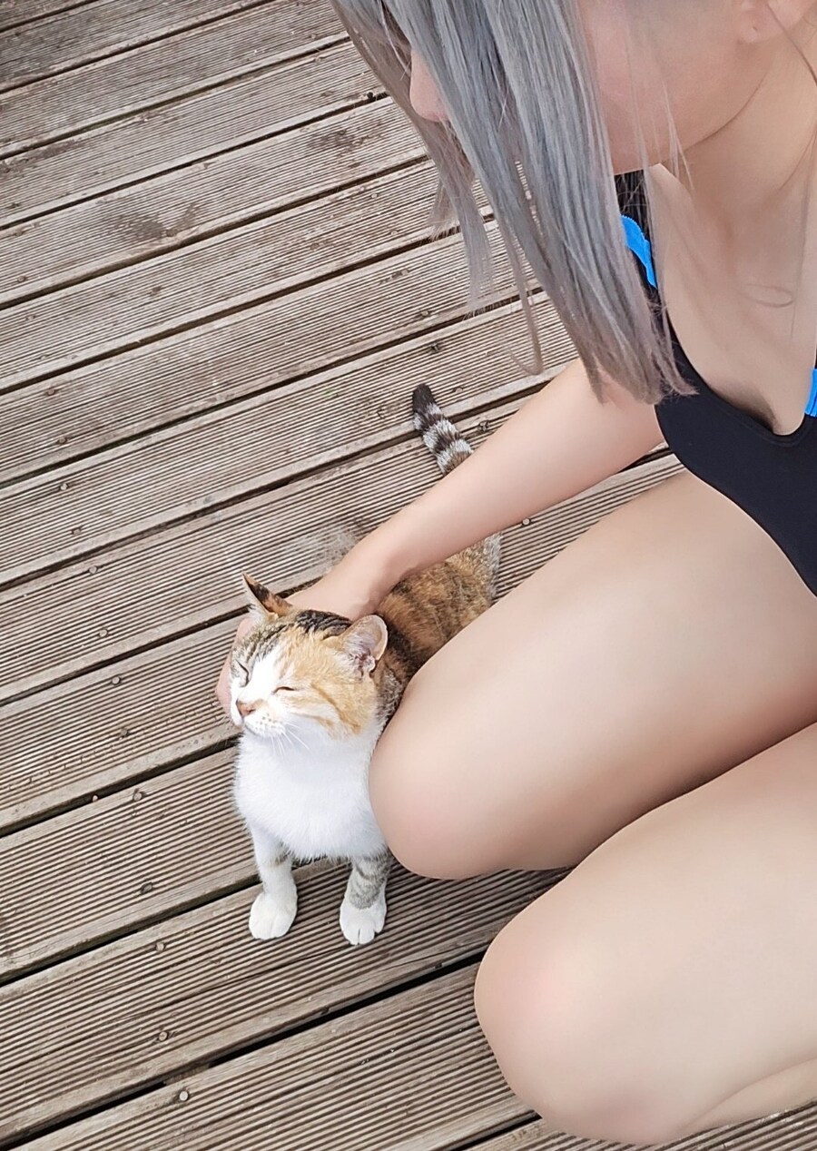쓰다듬어줘서 기분이 좋은 고양이_1.jpg