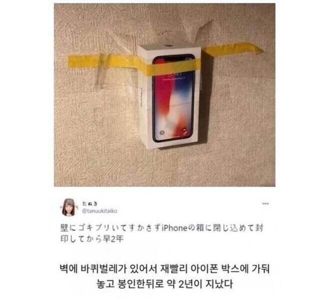 벽에 바퀴벌레가 있어서_1.jpg