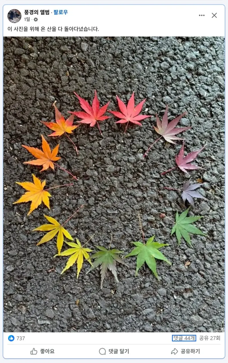 사진 한장때문에 온 산을 다 돌아다닌 사람._1.webp