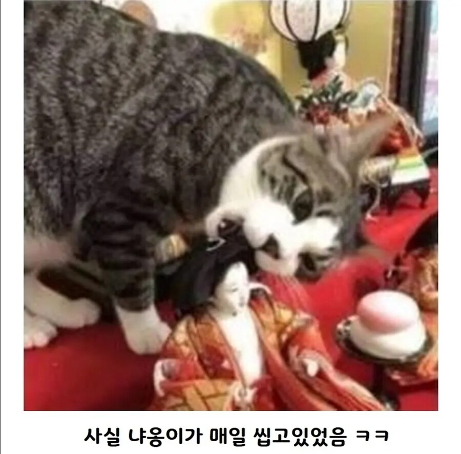 귀신 들린 것 같은 일본 인형_3.jpg