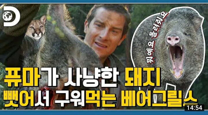 개양아치 베어그릴스.jpg_1.jpg