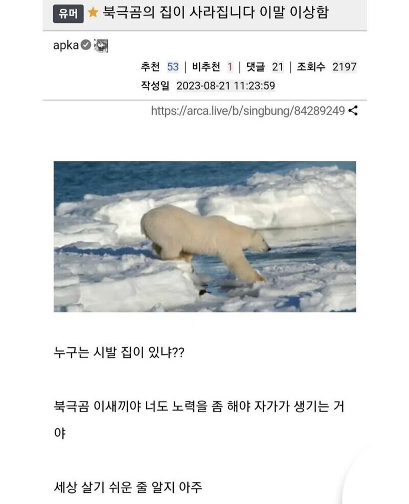 북극곰의 집이 사라집니다 이말 이상함.jpg_1.jpg
