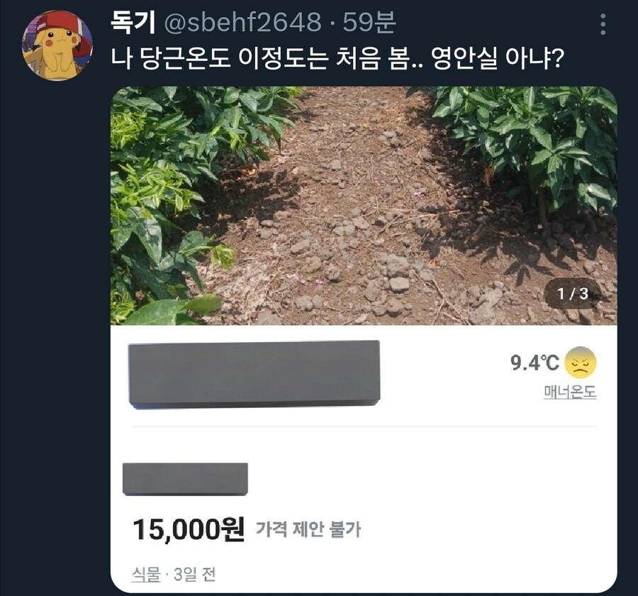 흔한 당근의 온도평가_1.jpg