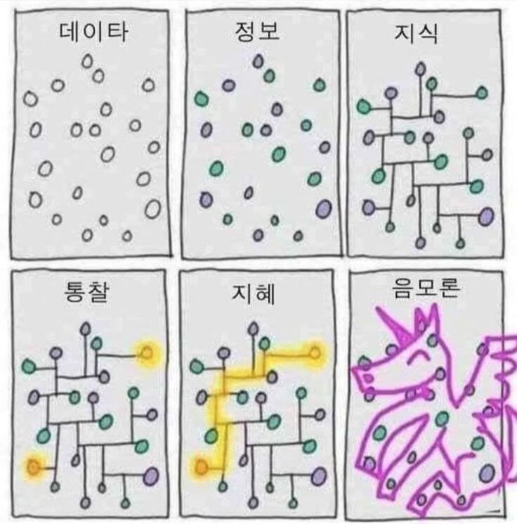 지식과 통찰 지혜의 차이.jpg_1.jpg