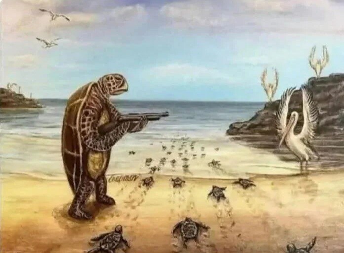 거북이가 바다로 가는 새끼를 보호하는 방법_1.jpg