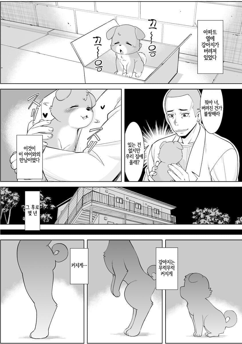 버려진 강아지를 애정있게 키운 결과_1.jpg