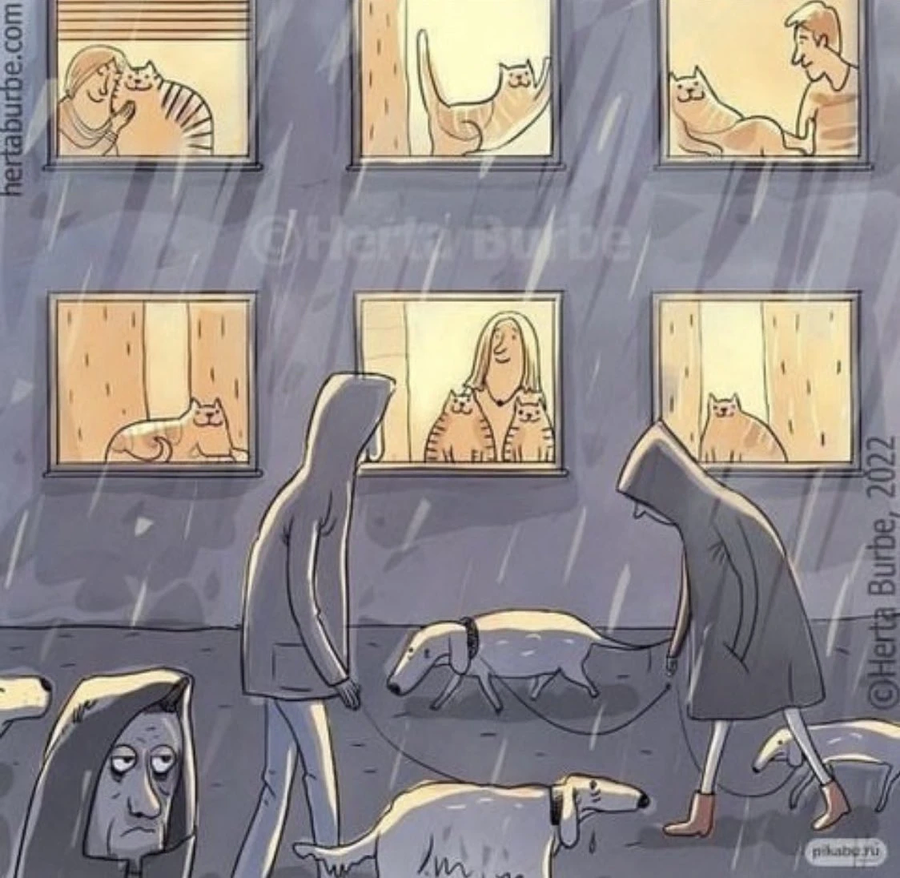 강아지 집사와 고양이 집사의 차이.jpg_1.webp