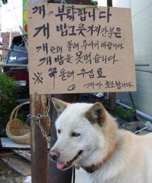 개소리 ㅋㅋㅋㅋㅋㅋㅋㅋㅋ_1.jpg