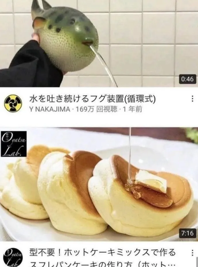 뭔가 잘못된 유튜브 알고리즘_1.webp