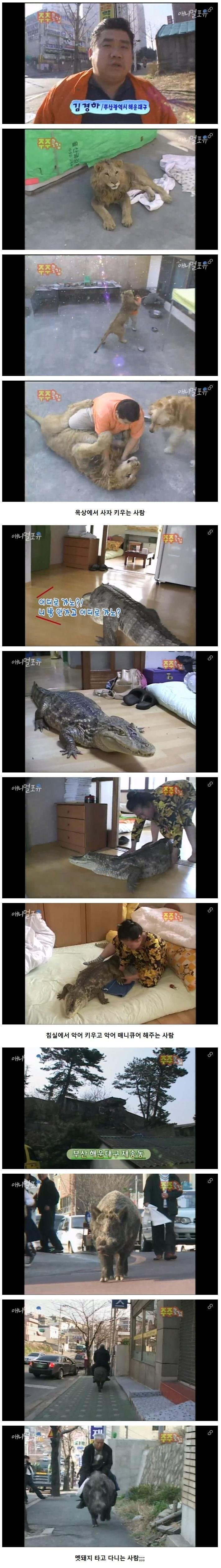 부산의 특이한 애완동물들 ㅋㅋㅋㅋㅋㅋㅋㅋㅋ_1.jpg