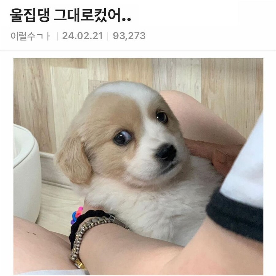 세월의 흐름.jpg_1.jpg