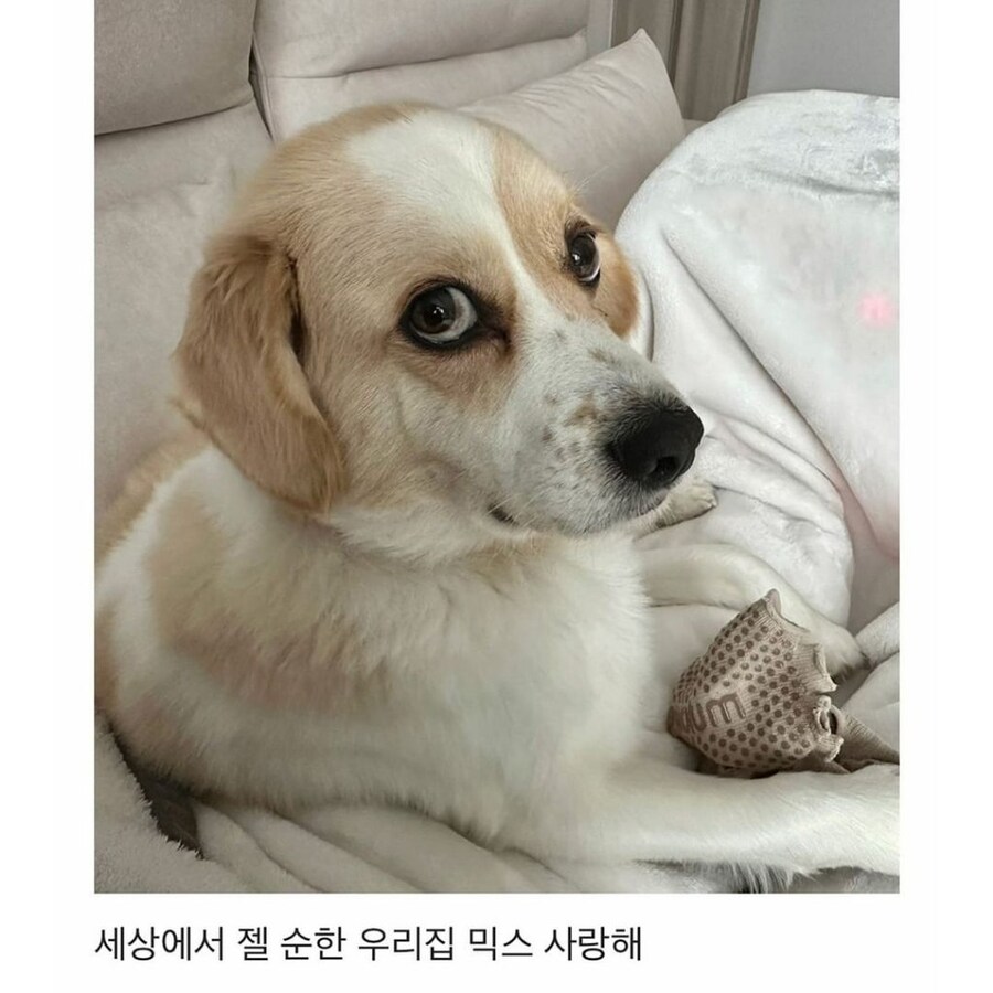 세월의 흐름.jpg_2.jpg
