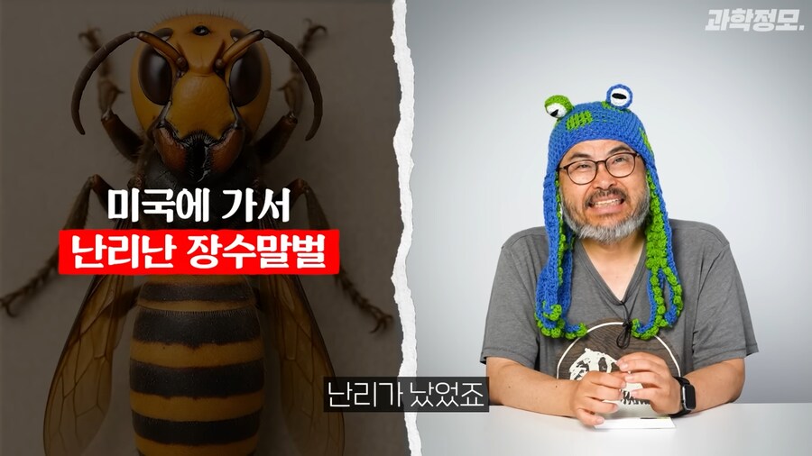 미국 장수말벌과의 전쟁승리 선언_1.png