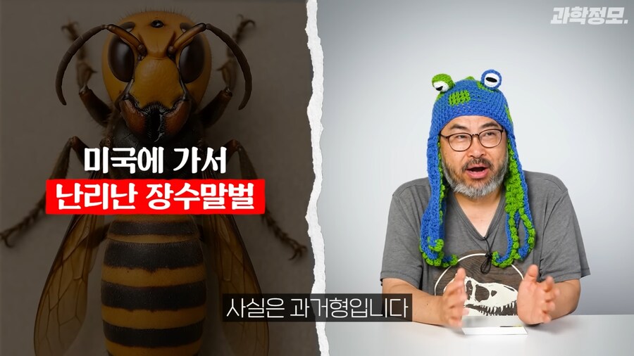 미국 장수말벌과의 전쟁승리 선언_2.png