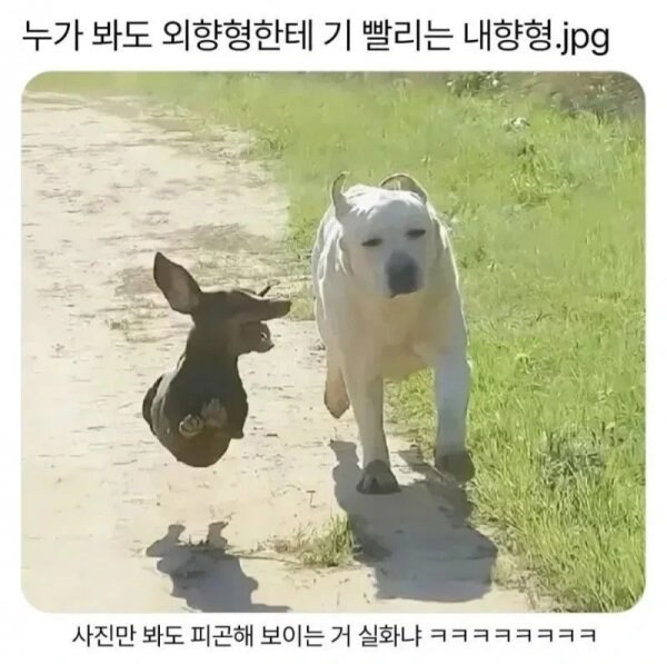 E에 기빨리는 I_1.jpg