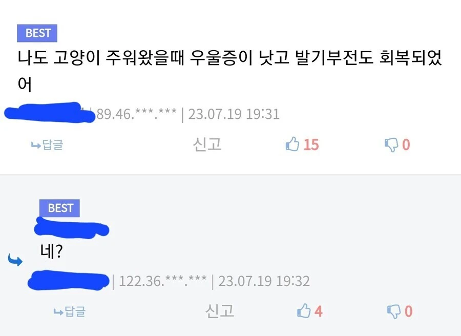 냥줍의 효능 간증하는 디씨인_1.webp