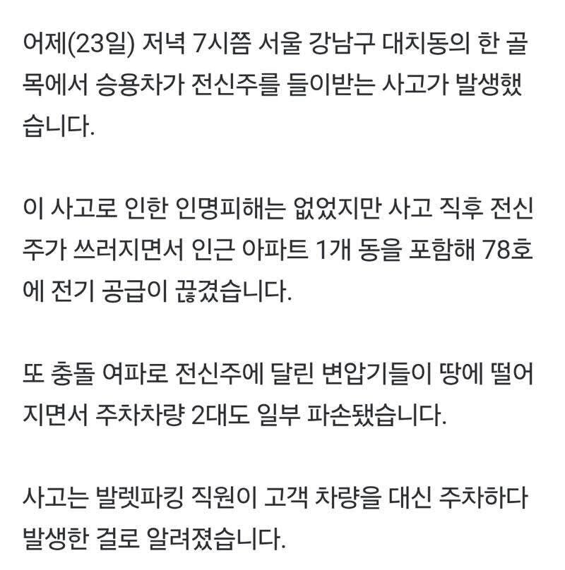 강남 발렛기사 대 참사_7.jpg