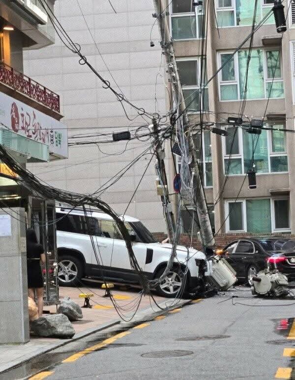 강남 발렛기사 대 참사_5.jpg