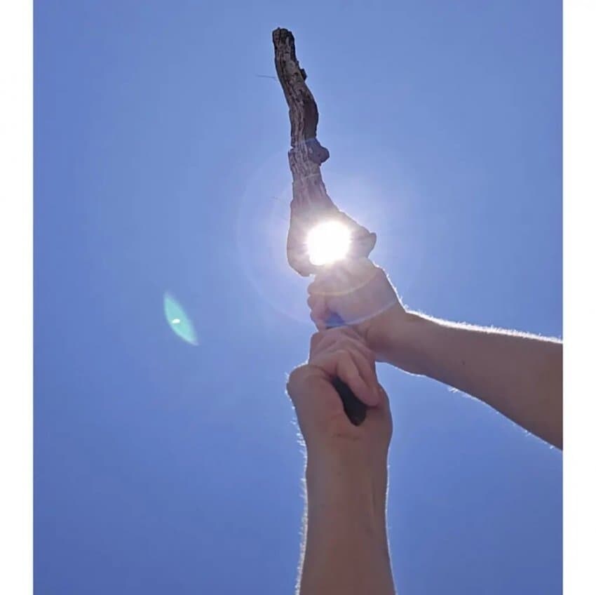 남자들은 무조건 집게되는 나뭇가지_2.jpg