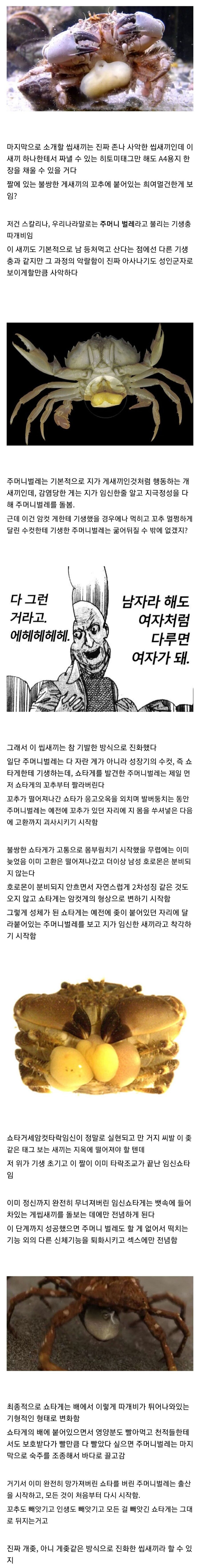 강제 TS 암컷 타락 쇼타 게임 추천좀.jpg_1.jpg
