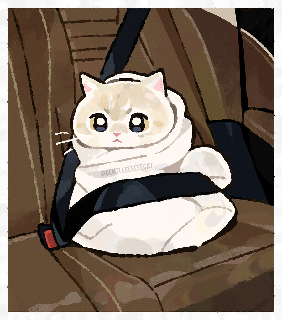 안전벨트 멘 고양이_1.jpg