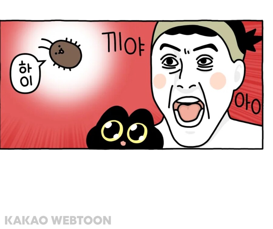 고양이 키우면서 무서울때_4.jpg