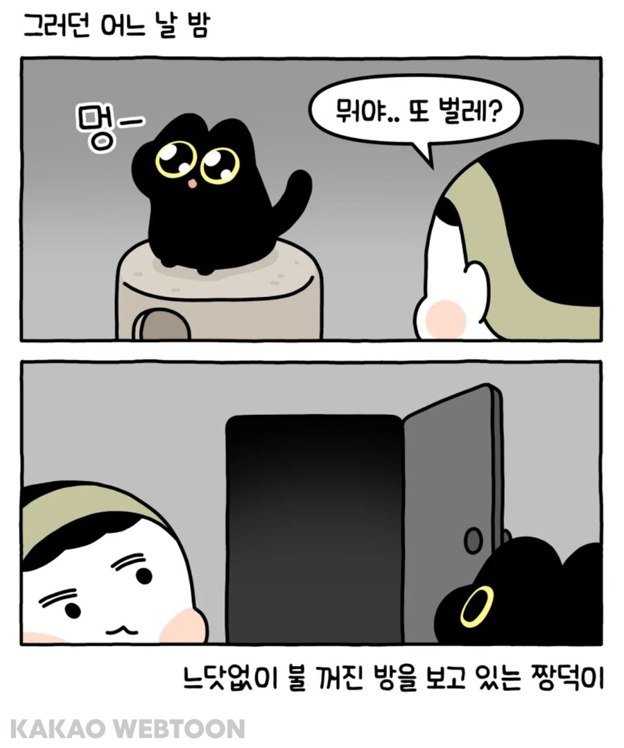 고양이 키우면서 무서울때_5.jpg