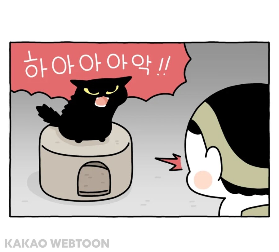 고양이 키우면서 무서울때_7.jpg